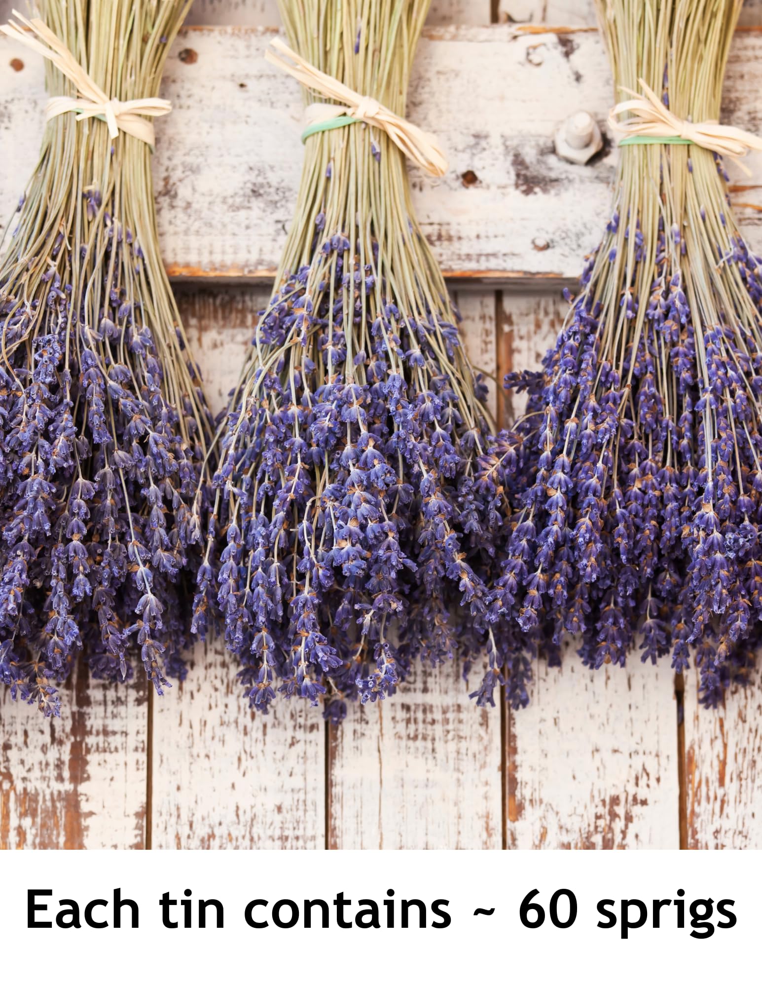 Lavender Lane lavender simple syrup pairing enhances homemade drinks.