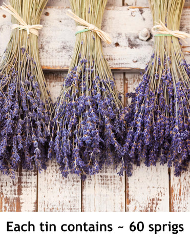 Lavender Lane lavender simple syrup pairing enhances homemade drinks.