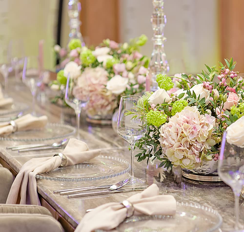 Lawei round clear plastic charger plates 13inch for versatile dining decor