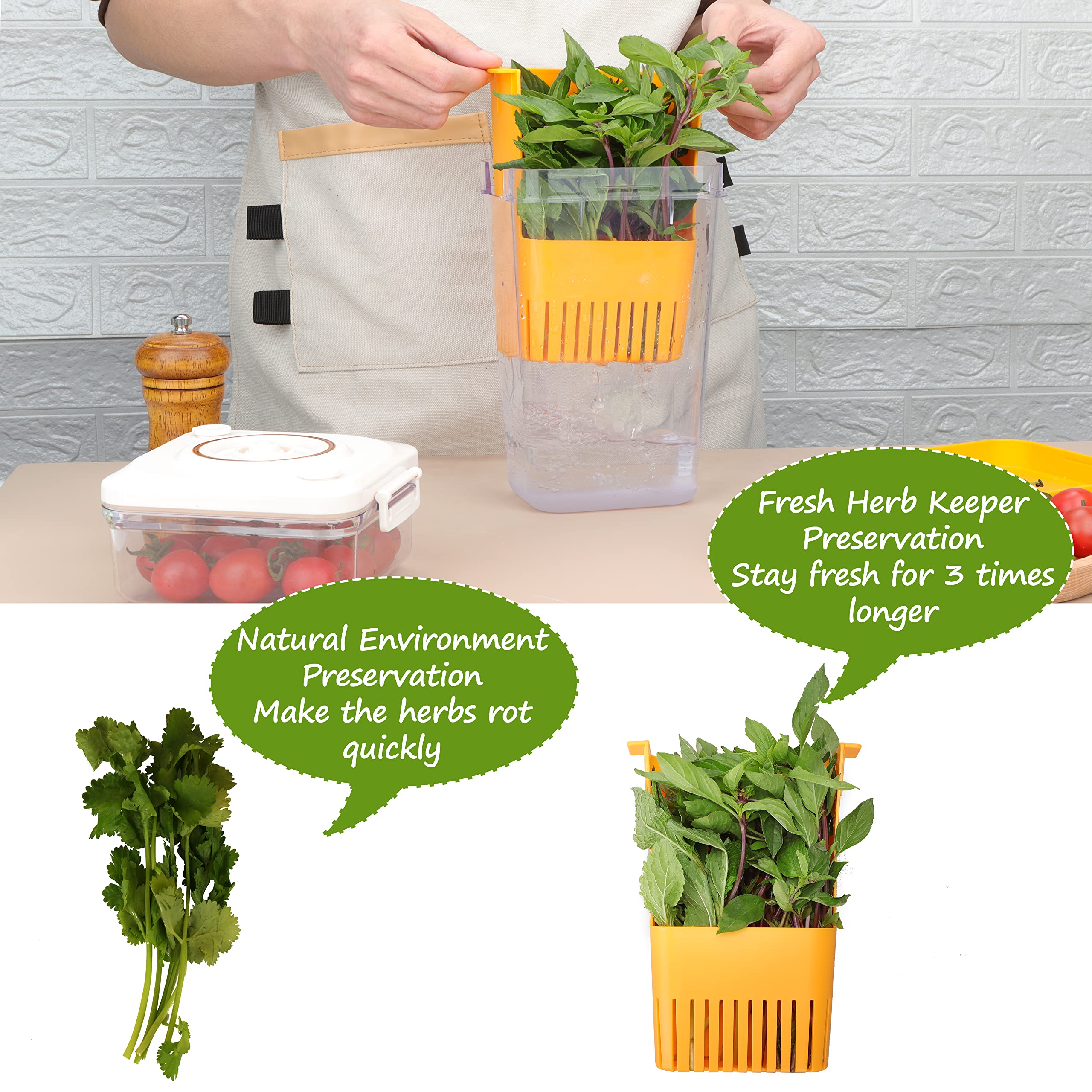 LAWNFUL colorful design brightens kitchen while preserving herbs.