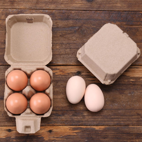 LayHyand clamshell egg carton with buckle for secure transport