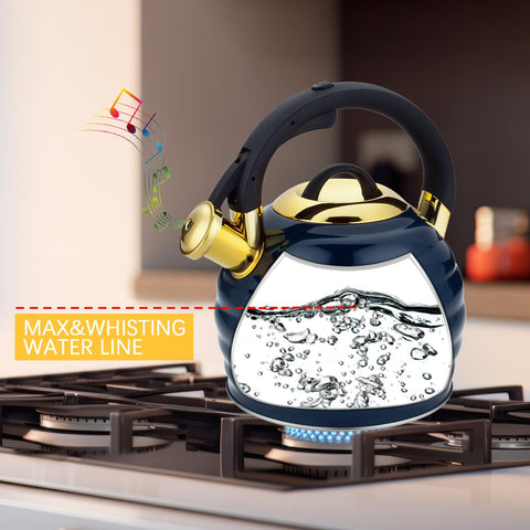 Lazneyru stainless steel body highlighting durable construction