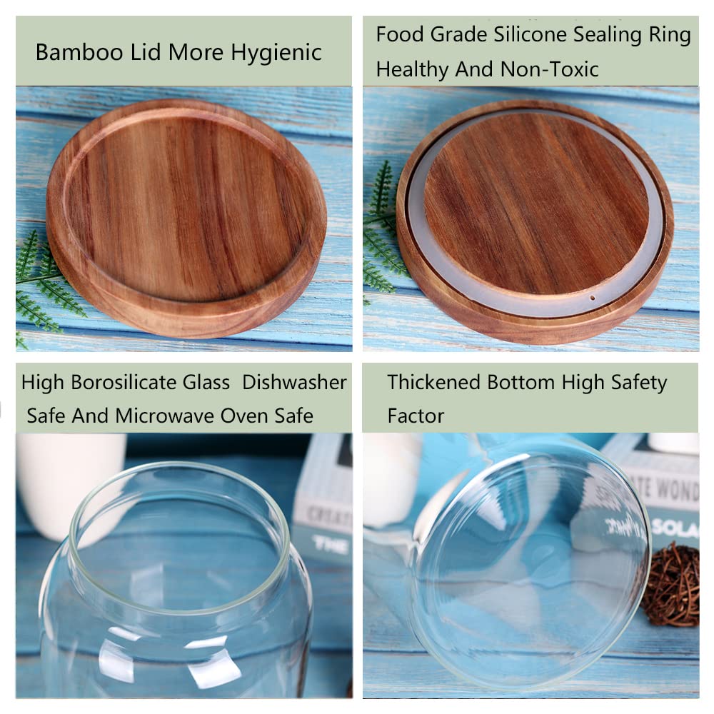 Leaves and Trees Y borosilicate glass is durable and freezer-safe.