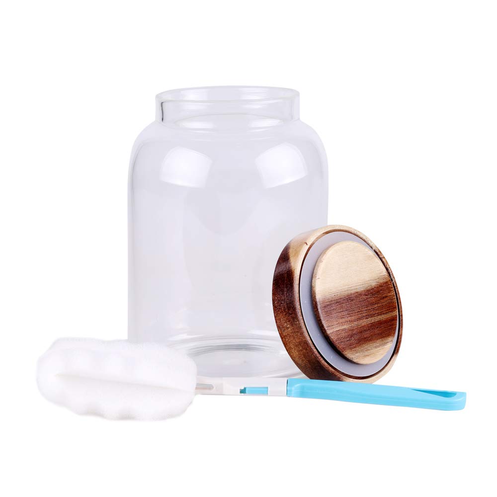 Leaves and Trees Y spice storage jar keeps pantry organized and dust-free