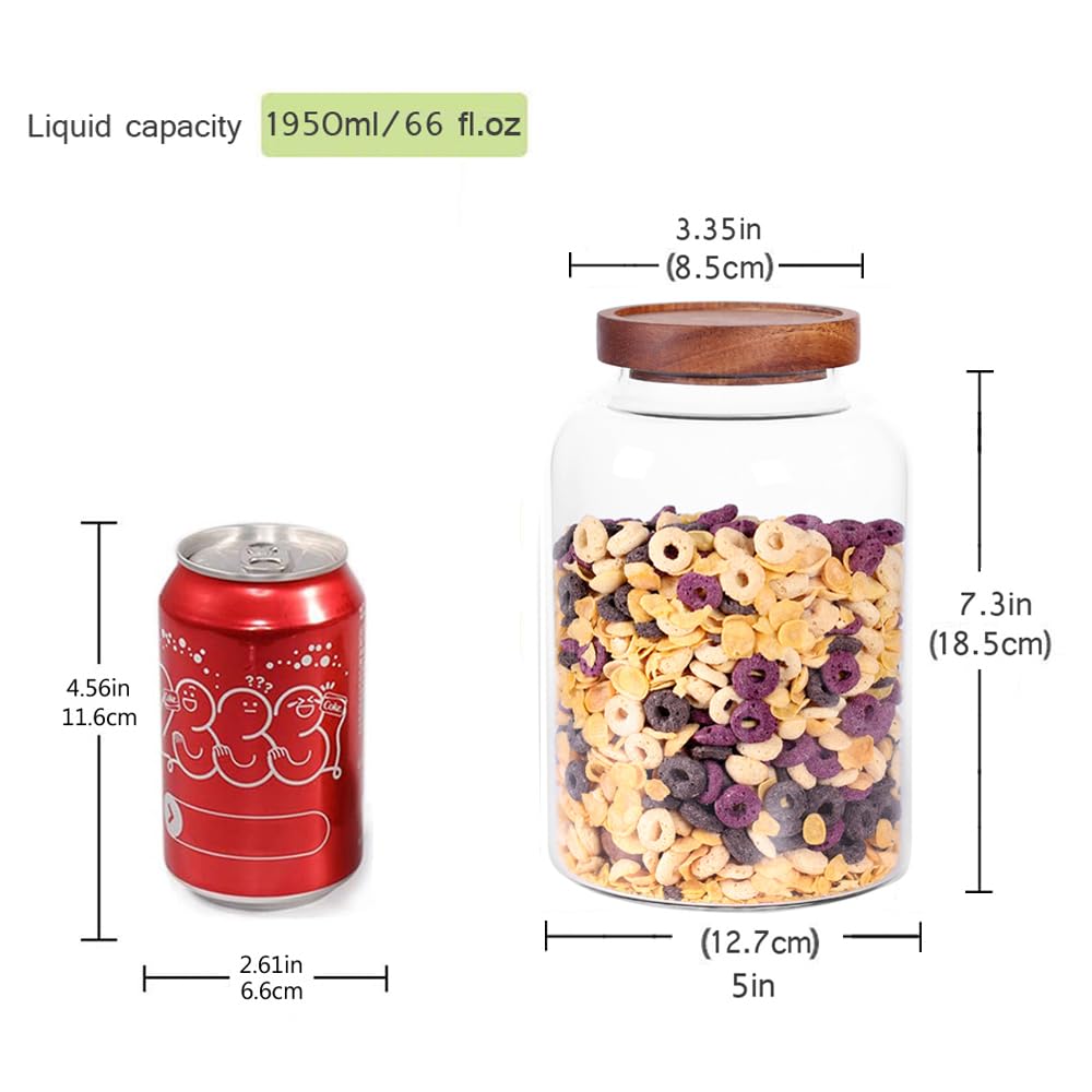 Leaves and Trees Y airtight wooden lid jar for coffee beans preserves flavor
