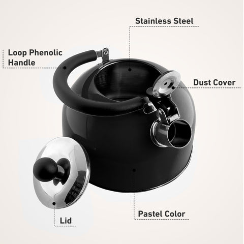 Lily's Home on-stovetop kettle boils water quickly for tea
