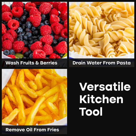 lilystone versatile tool dries fruit and can de-oil fries when needed