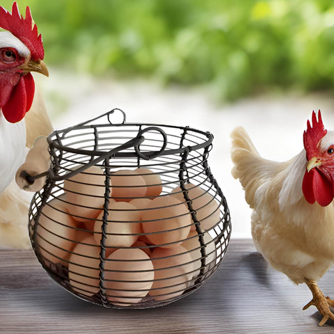 LINCOUNTRY ventilated egg storage basket keeps eggs organized and visible