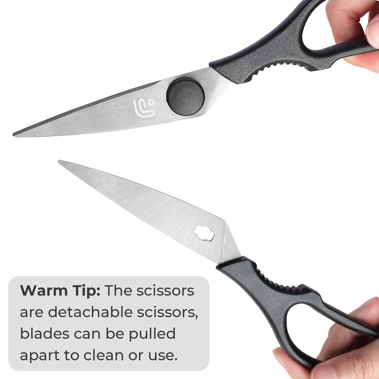 Linoroso heavy duty scissors blades detach for easy cleaning after prep.