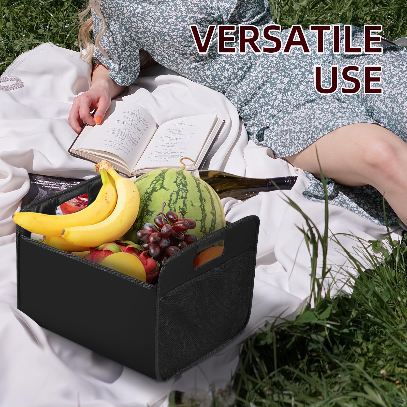 LITLANDSTAR collapsible wine carrier demonstrating 12-bottle capacity for gatherings.