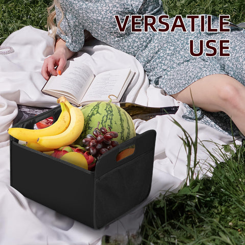 LITLANDSTAR collapsible wine carrier demonstrating 12-bottle capacity for gatherings.