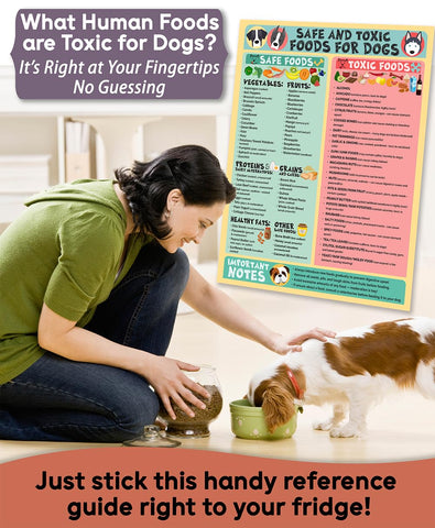 Lone Star Art 8.5x11 poster fits kitchens, clinics, and shelters for quick safety checks.