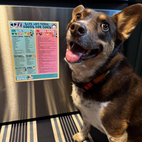 Lone Star Art canine nutrition guide poster highlights dog-friendly foods for everyday meals.