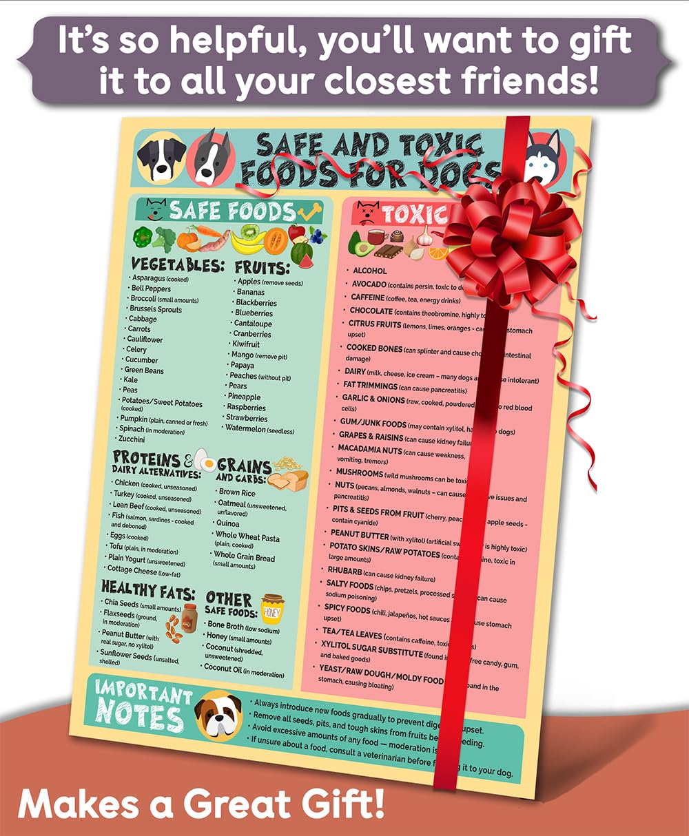 Lone Star Art fridge magnet holds the dog safety chart securely for quick reference.