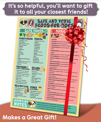 Lone Star Art fridge magnet holds the dog safety chart securely for quick reference.