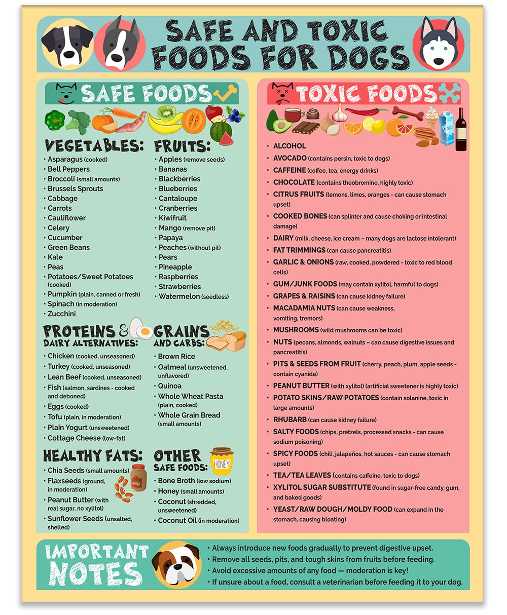 Lone Star Art magnetic dog foods poster showcases safe and toxic foods at a glance.