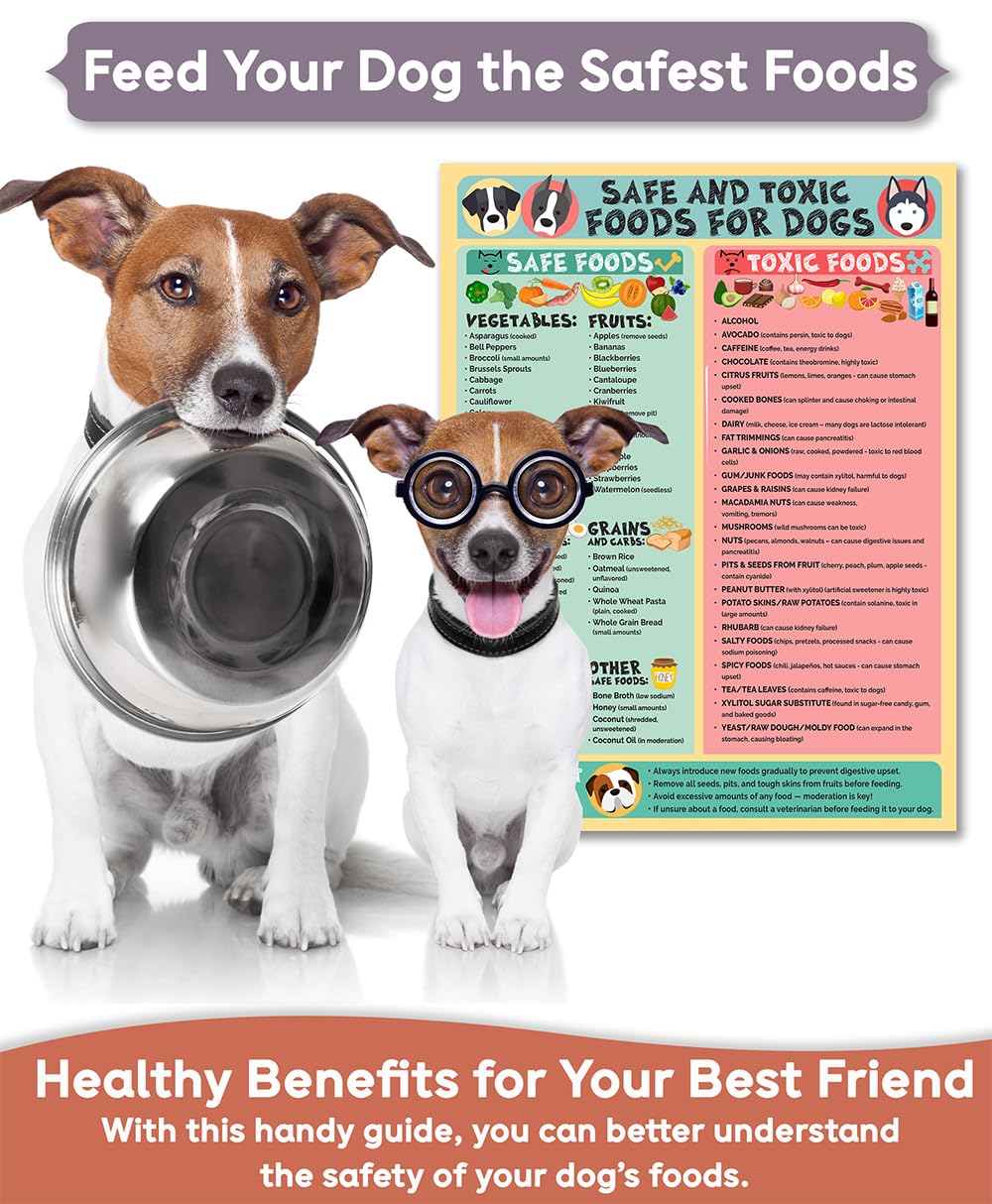 Lone Star Art safe and harmful foods infographic simplifies nutrition decisions.
