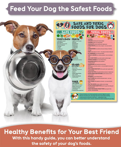 Lone Star Art safe and harmful foods infographic simplifies nutrition decisions.