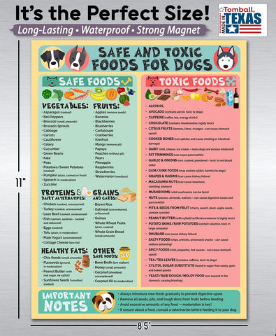 Lone Star Art waterproof poster resists moisture in kitchens and clinics.