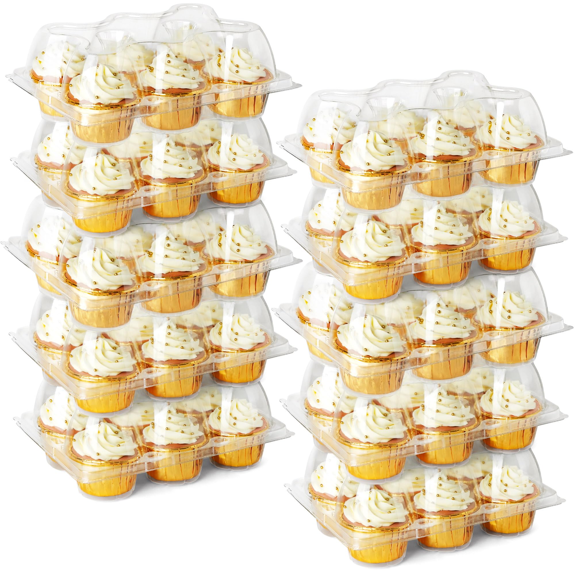 LotFancy 6-cavity cupcake container from side view showing clear packaging