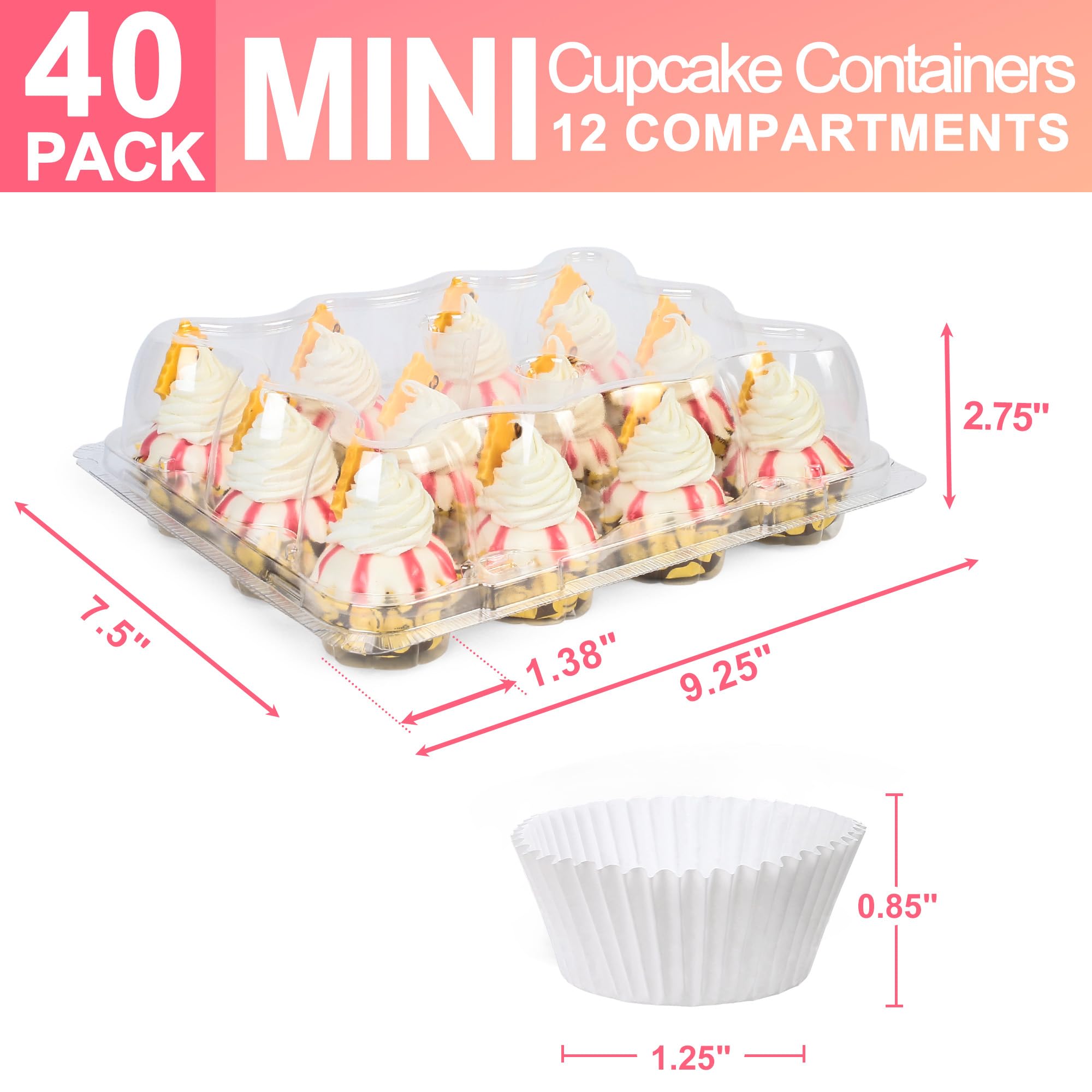 LotFancy cupcake container showing tall dome lid for tall frosting.