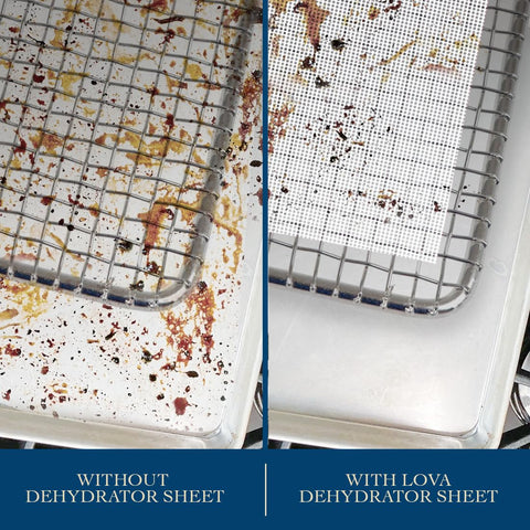 Lova nonstick dehydrator liners prevent sticking when drying jerky and fruit