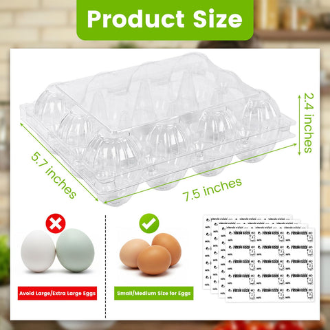LOVEINUSA egg carton clear side closures show secure transport for markets
