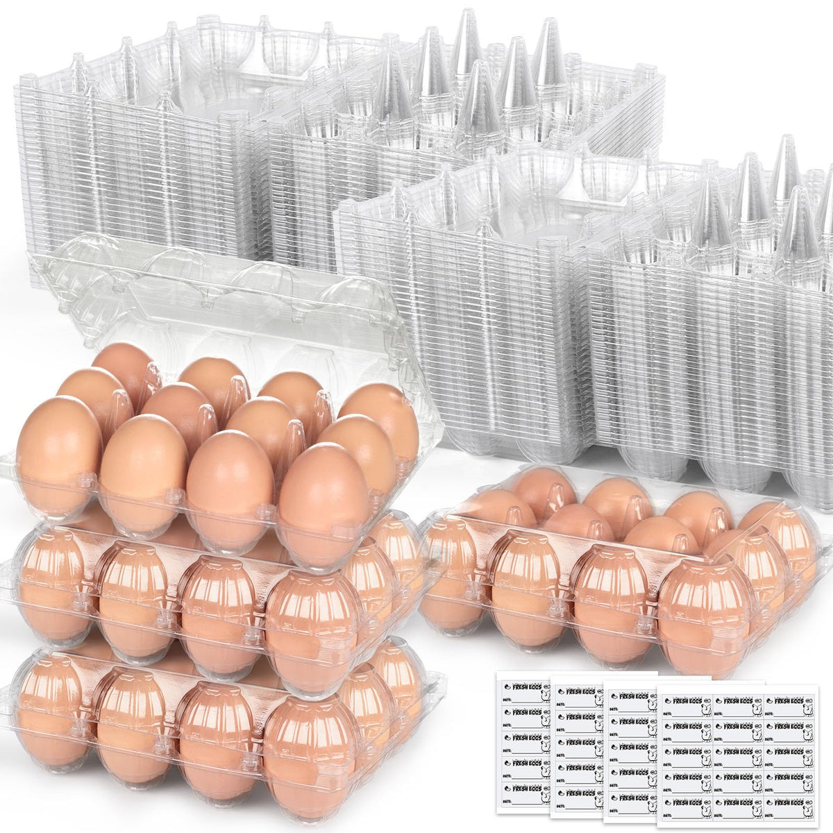 LOVEINUSA egg carton clear top view highlights 60-pack capacity for organized storage