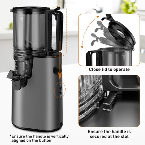 LQZ 5.8-inch feed chute supports whole fruits for fast juicing.
