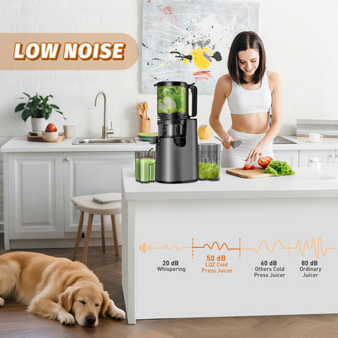 LQZ detachable filter enables quick cleaning after juicing sessions.