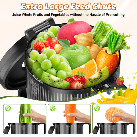 LQZ juicer 350W motor powers efficient extraction with lower oxidation.