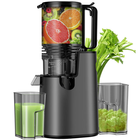 LQZ cold press juicer with wide feed chute for whole fruits and vegetables.