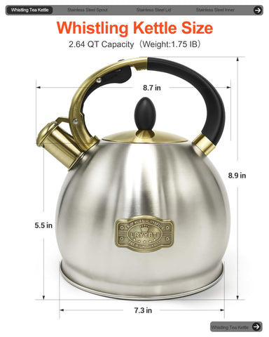 LRYYBTI brushed stainless steel kettle showcases durable construction and stylish kitchen appeal