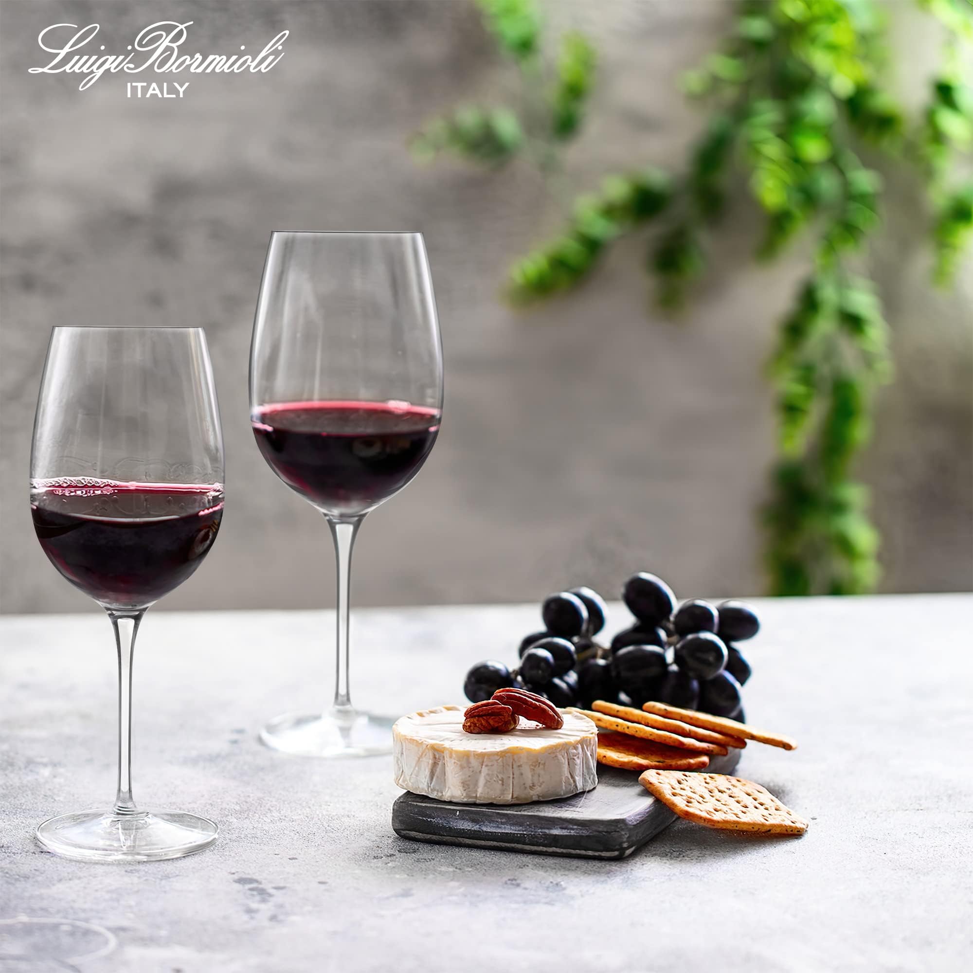 Versatile 20 oz size suits Bordeaux varietals with larger aroma profiles.