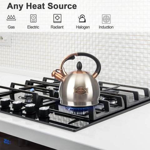 LuxGrace kettle handle close-up highlighting the cool-grip pour control