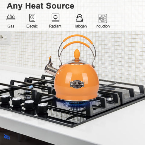 LUXGRACE tea kettle on induction stove showing induction compatibility for fast boil