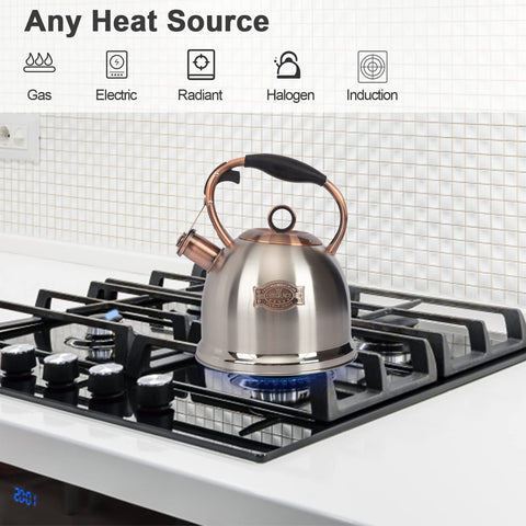 LuxGrace tea kettle lid and whistle close-up highlighting a clear boil alert