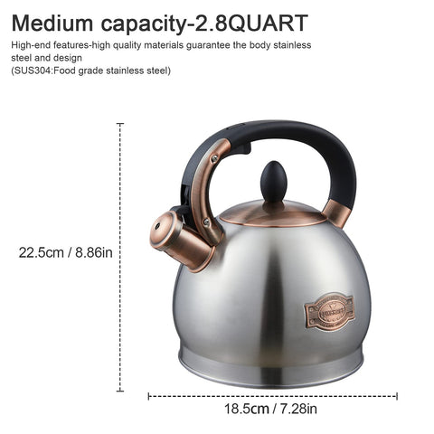LUXGRACE tea kettle on stove showing compatibility with multiple cooktops.