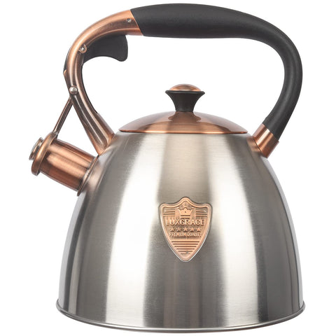 LUXGRACE tea kettle on stovetop, top view, showcasing durable stainless steel design
