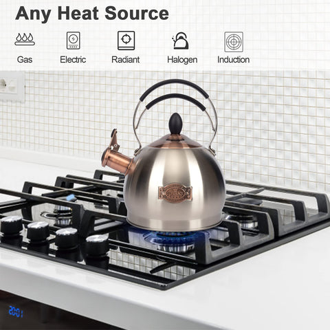 LUXGRACE kettle spout with whistle alert signaling boil