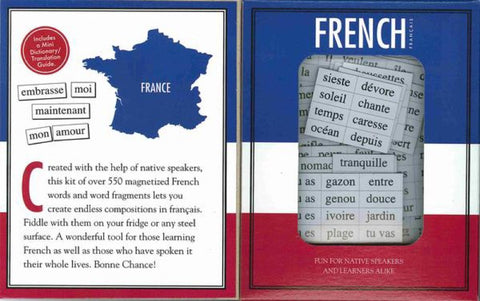 Magnetic Poetry French Kit poems on fridge inspire quick, playful verses for notes.