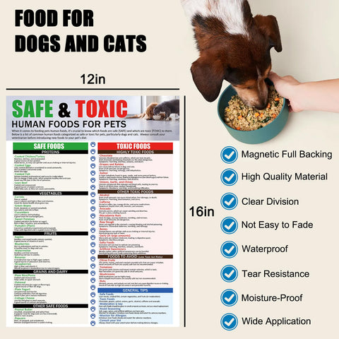 MakLuen family-friendly education tool for pet feeding decisions