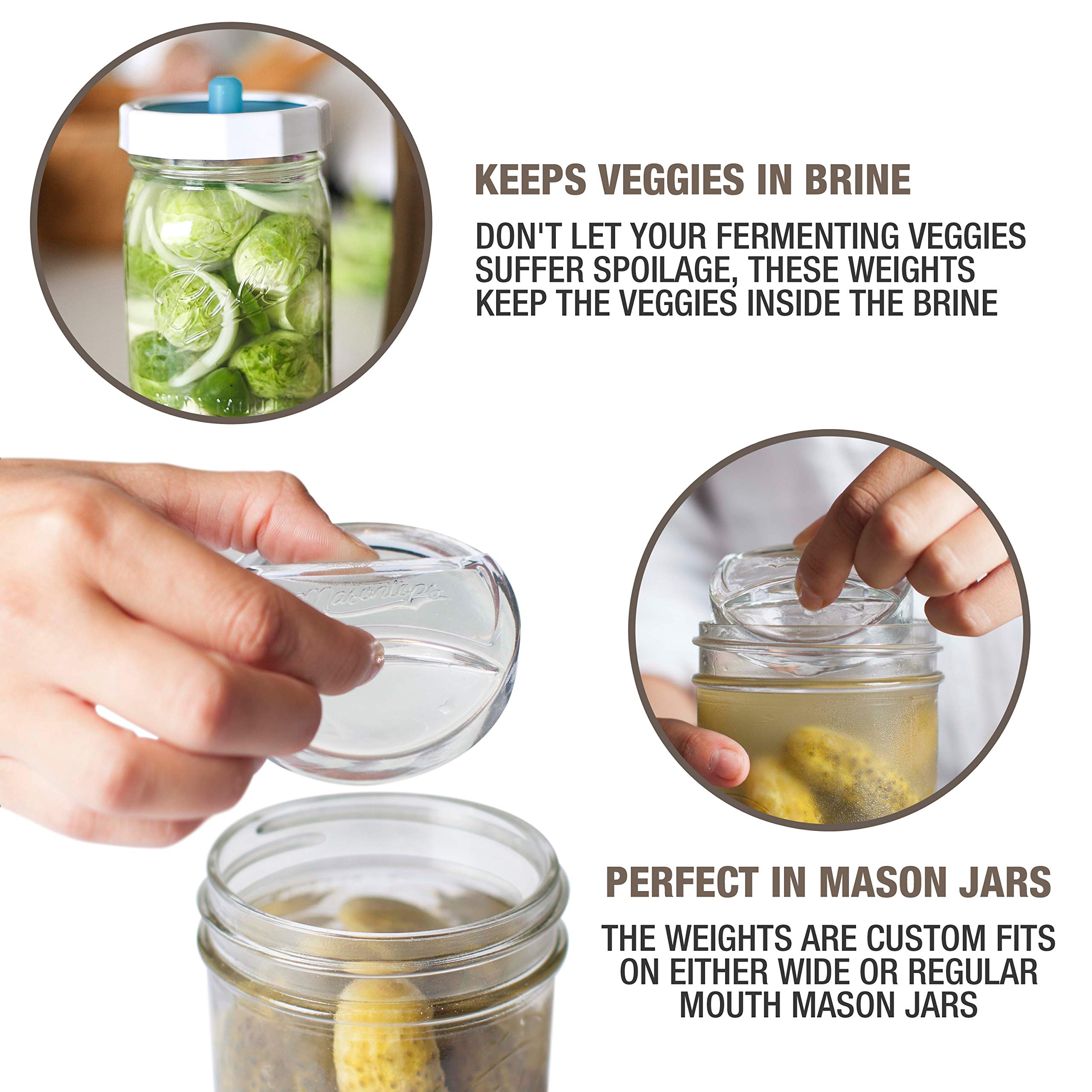 Masontops Pickle Pebble glass weight demonstrates clear visibility while guarding contents from air exposure.