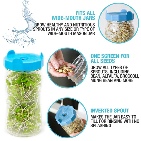 Masontops sprouting kit for alfalfa sprouts at home.