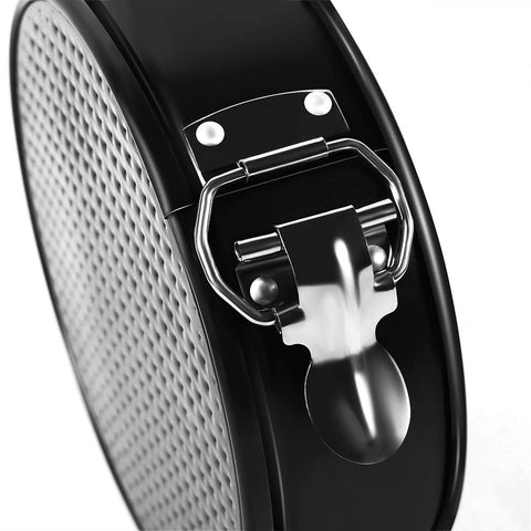 MASSUGAR springform 9-inch pan perfect for larger cheesecakes and quiches.