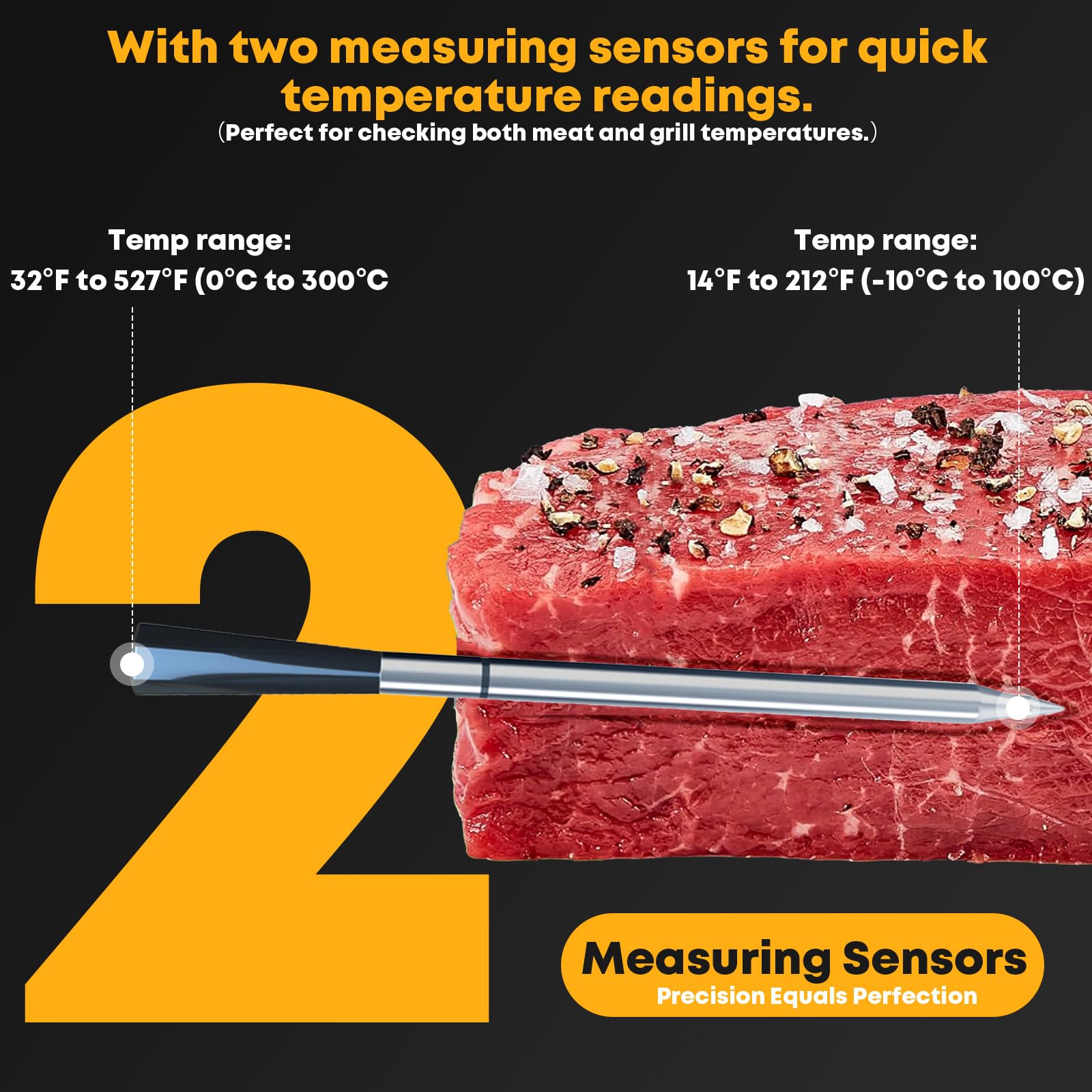 Megapuxin app-sync thermometer lets you monitor temps in real time from your phone.