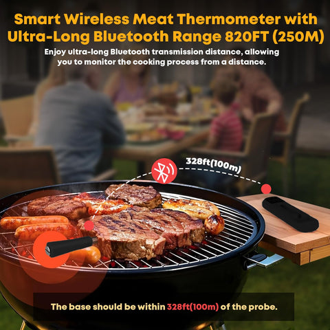Megapuxin dual-probe thermometer shows internal and ambient temps for precise control.