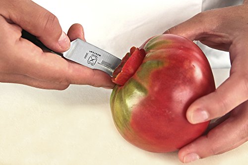 Mercer Genesis paring knife in kitchen scene with jalapenos demonstrating small slicing efficiency