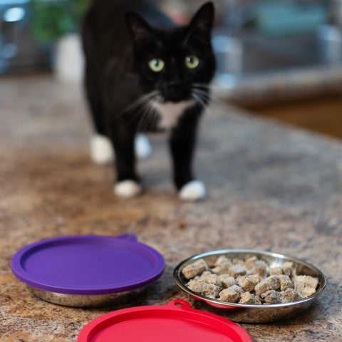 Messy Cats compact 4pc set keeps feeding area neat and organized