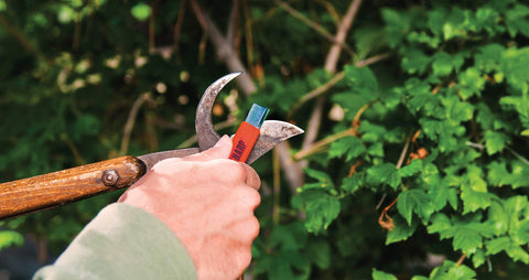 Micro 100 KS-1 top view reveals slim profile for travel sharpening.